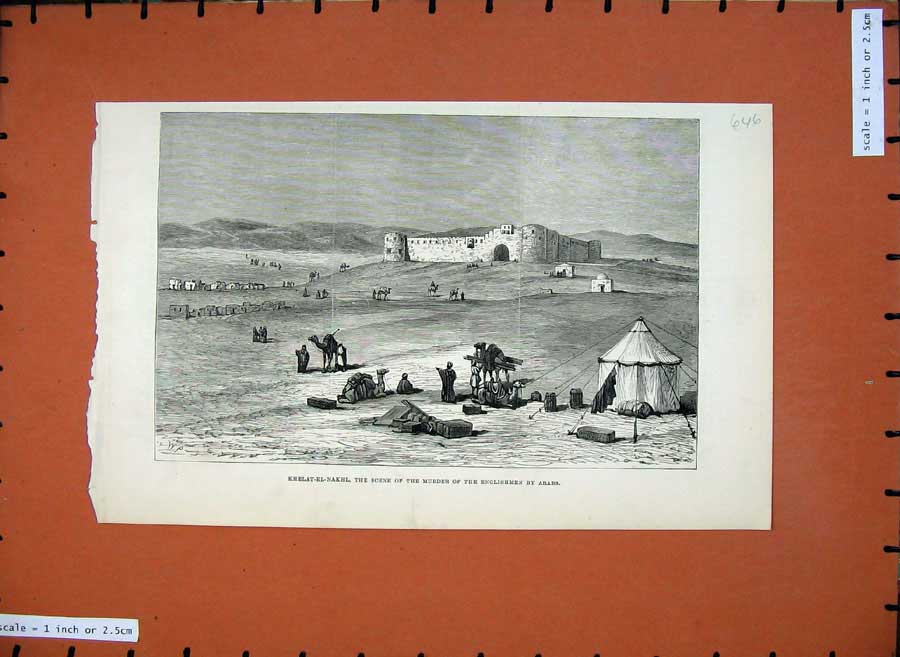 Old Antique Print 1882 Khelat-El-Nakhl Murder Englishmen Arabs War Camels 19th