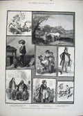 Old Antique Print 1883 Exhibition Art Browne Liverpool Shakespeare Venus 19th