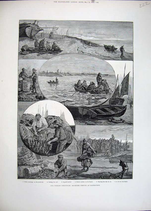 Old Antique Print 1883 Fishing Industries Mackerel Fishing Eastbourne Art 19th
