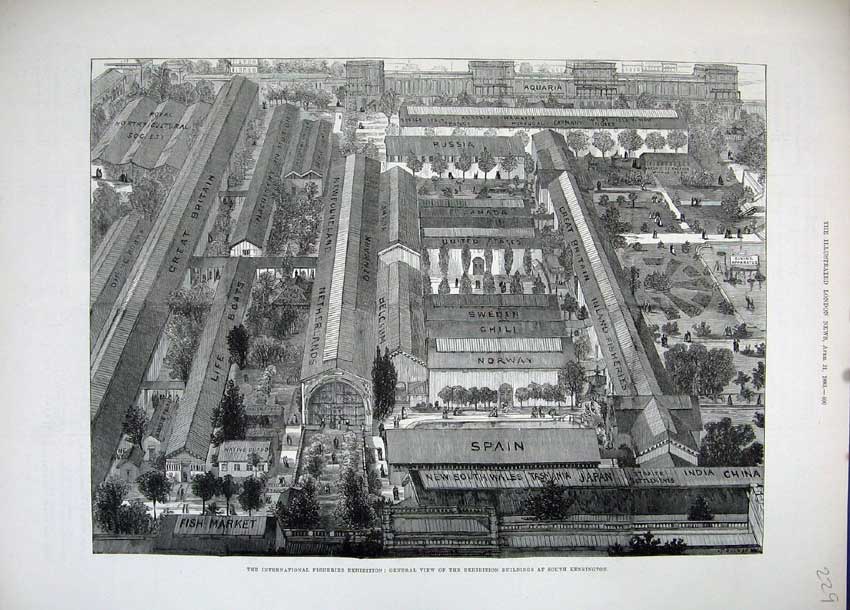 Old Antique Print 1883 View Fisheries Exhibition Buildings Kensington Art 19th