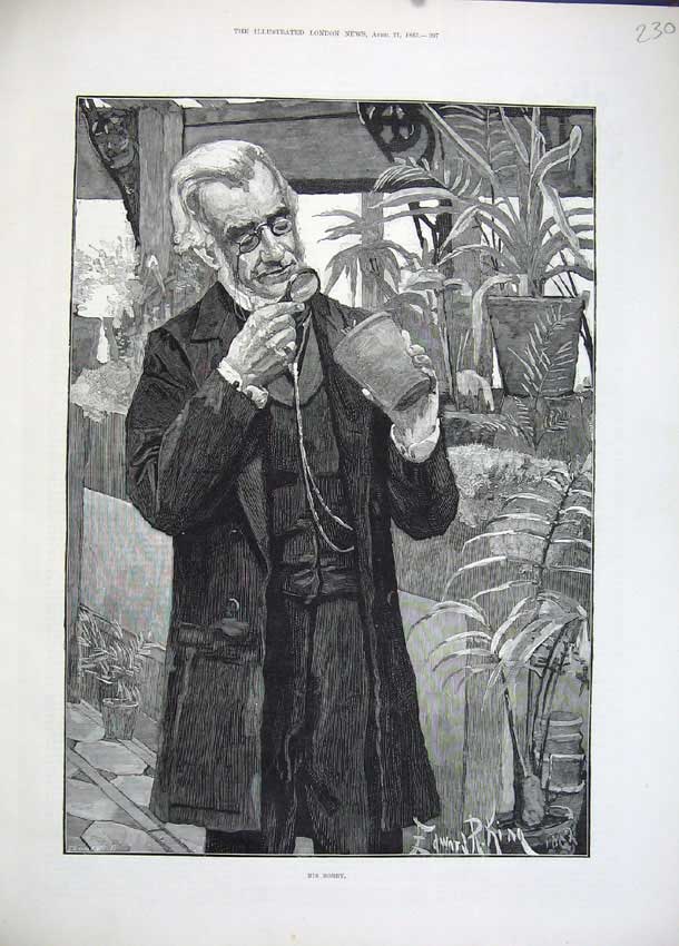 Original Old Antique Print 1883 Portrait Man Pot Plants Fine Art 19th