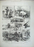 Old Antique Print 1883 Bechuana Matebele Transvaal Antelope Giraffe Horse 19th