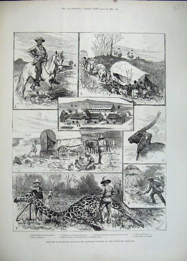 Old Antique Print 1883 Bechuana Matebele Transvaal Antelope Giraffe Horse 19th