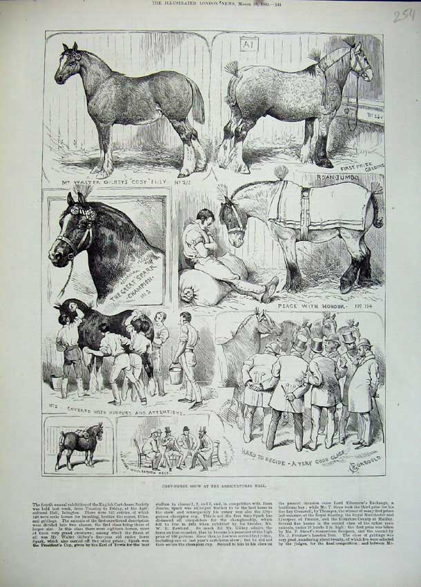 Original Old Antique Print Cart Horse Show Agricultural Hall 1883 Walter Gilbey