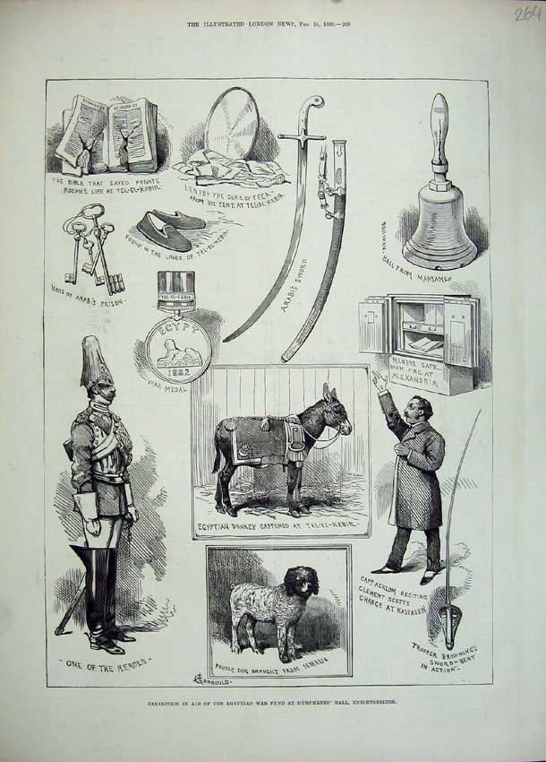 Original Old Antique Print 1883 Egyptain Donkey Poodle Dog Siers Knightsbridge