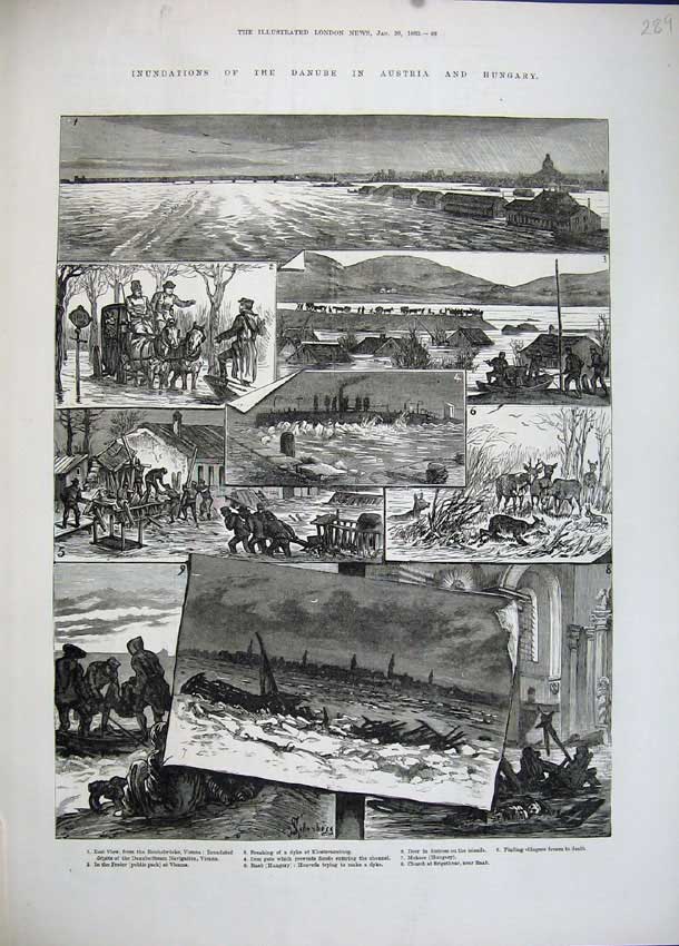 Original Old Antique Print 1883 River Danube Austrai Hungary Floods Deer Vienna