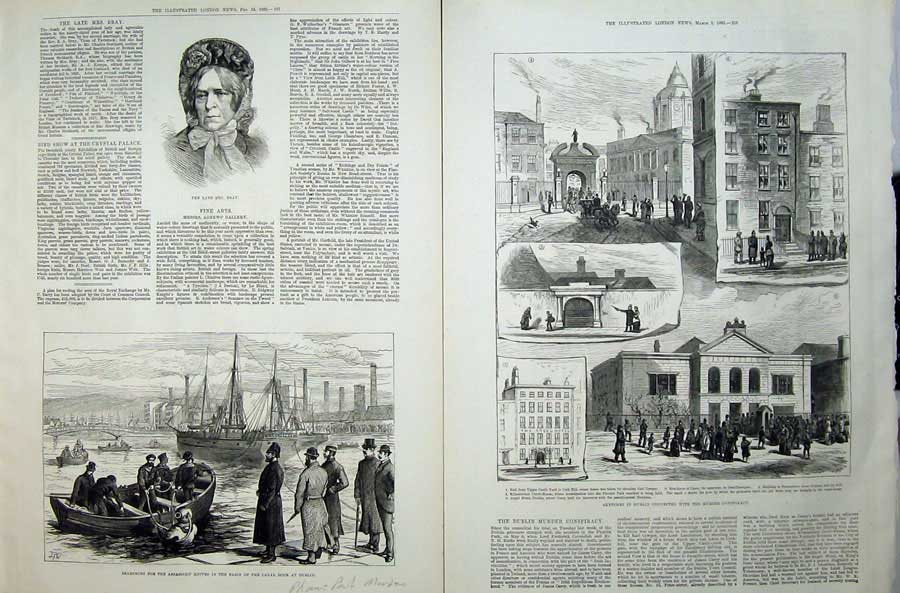 Antique Old Print 1883 Mrs Bray Phoenix Park Murders Ireland Dublin Court 19th