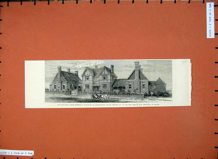 Old Antique Print 1883 Princess Alice Memorial Hospital Eastbourne Horse 19th