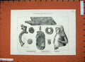 Old Antique Print 1883 Babylonian Antiquities British Museum Sphinx Coin 19th