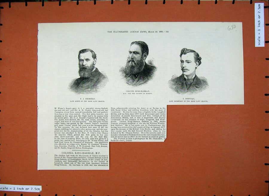 Old Antique Print 1883 Colonel King-Harman Sheridan Brennan Ireland Men 19th