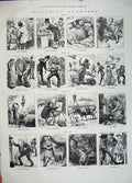 Original Old Antique Print 1883 Pictorial Charades Animals People Country Birds