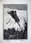 Original Old Antique Print 1883 Berkley Fine Art Dog Snow Cliff Winter 19th