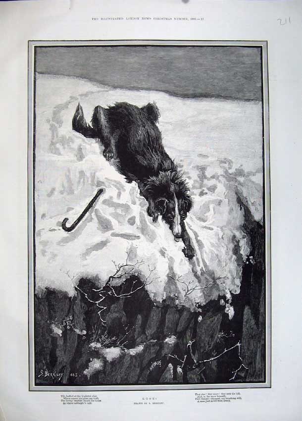 Original Old Antique Print 1883 Berkley Fine Art Dog Snow Cliff Winter 19th