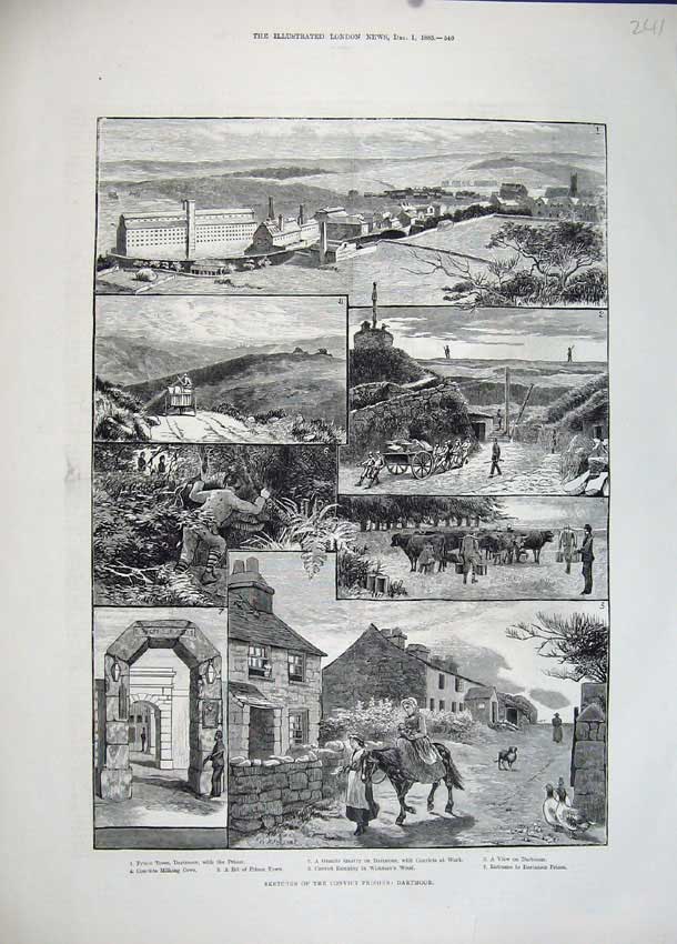 Old Antique Print 1883 Convict Prisons Dartmoor Prince Town Milking Cows 19th