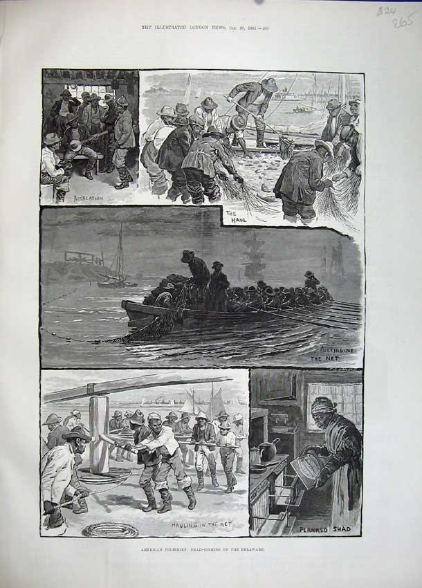 Original Old Antique Print 1883 America Shad Fishing Delaware Net Boat Men Art