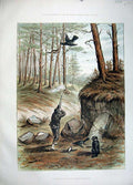 Old Antique Print 1883 Capercailzie Shooting Birds Men Rifle Dog Colour 19th