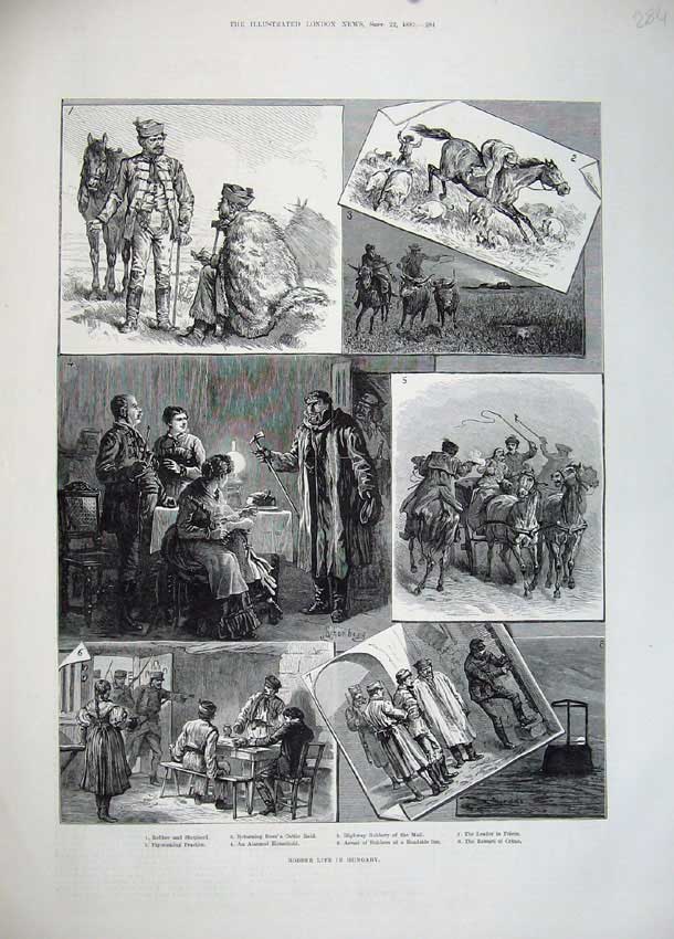 Original Old Antique Print 1883 Robber Life Hungary Shepherd Cattle Prison Mail