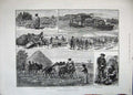 Original Old Antique Print 1883 Peasant Life Hungary Shepherd Sheep Oxen Horses