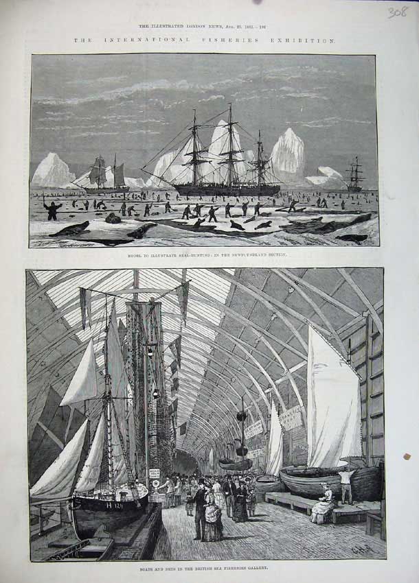 Old Antique Print 1883 Fisheries Boats Nets British Sea Seal Hunting Ship 19th