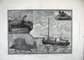Original Old Antique Print 1883 Whitebait Fishing Boat Man Birds Sea Craft Art