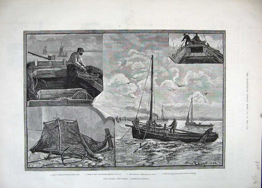 Original Old Antique Print 1883 Whitebait Fishing Boat Man Birds Sea Craft Art