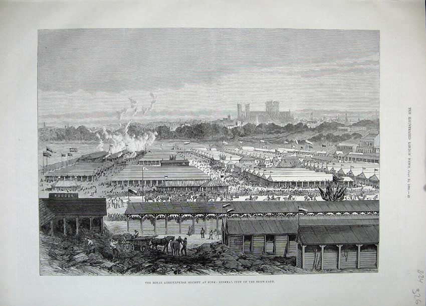 Old Antique Print 1883 Royal Agricultural Society York Show-Yard Animals 19th