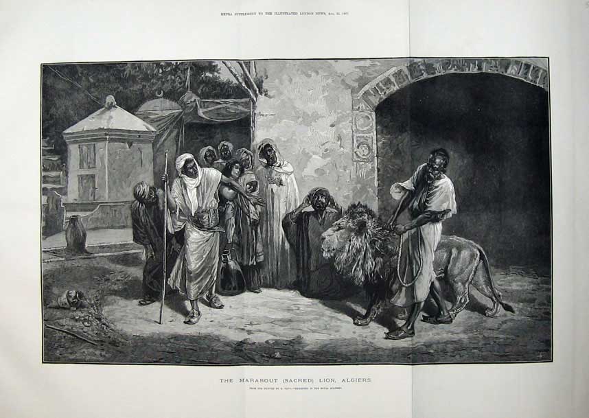 Old Antique Print Fine Art 1883 Marabout Sacred Lion Algiers Natives Men 19th