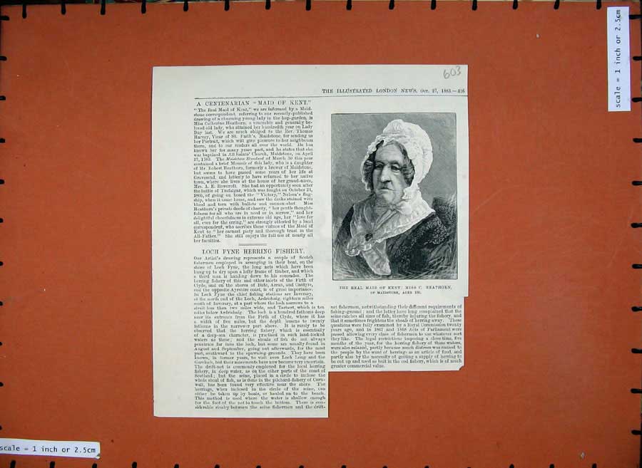 Original Old Antique Print Portrait Real Maid Kent Miss Catherine Heathorn 1883