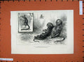 Original Old Antique Print 1883 Young Marmozets London Animals Fine Art 19th