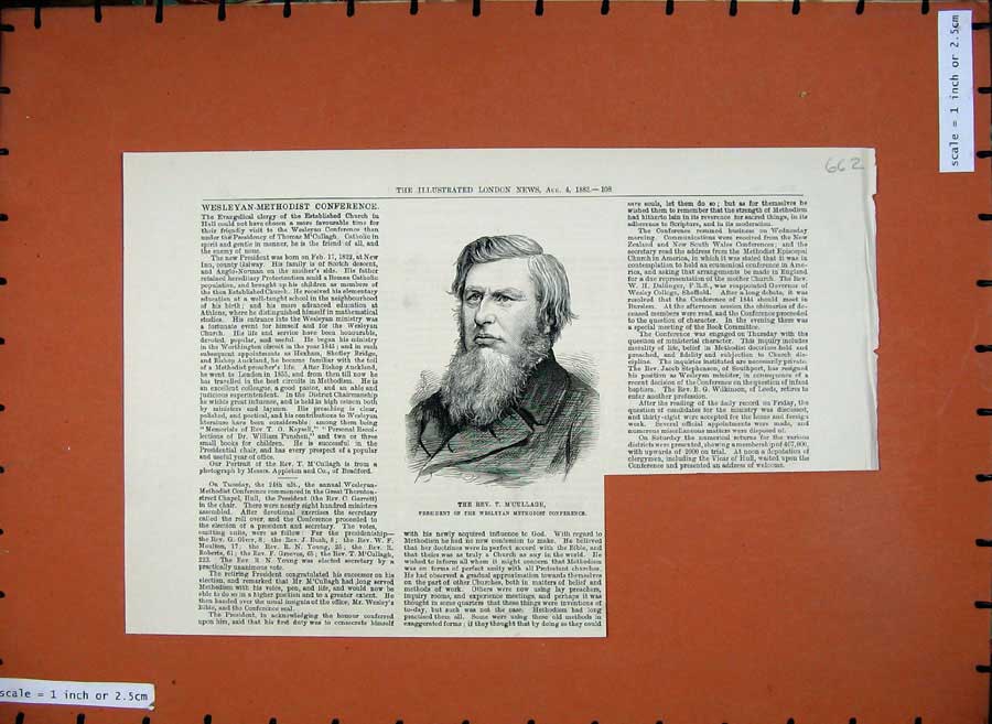 Old Antique Print 1883 Rev. M'Gullagh Wesleyan Methodist Conference Man 19th