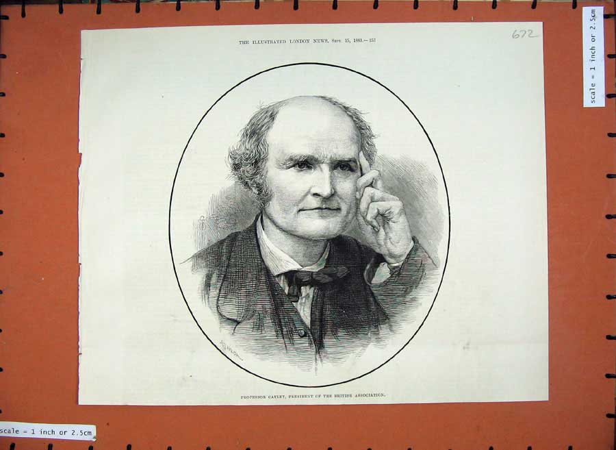 Old Antique Print 1883 Professor Cayley President British Association Art 19th