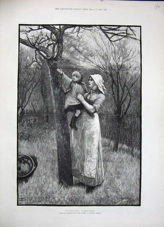 Old Antique Print 1884 John White Fine Art Mother Little Girl Trees Bud 19th