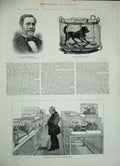 Original Old Antique Print Laboratory Ecole Normale Paris 1884 Pasteur Dog Cage