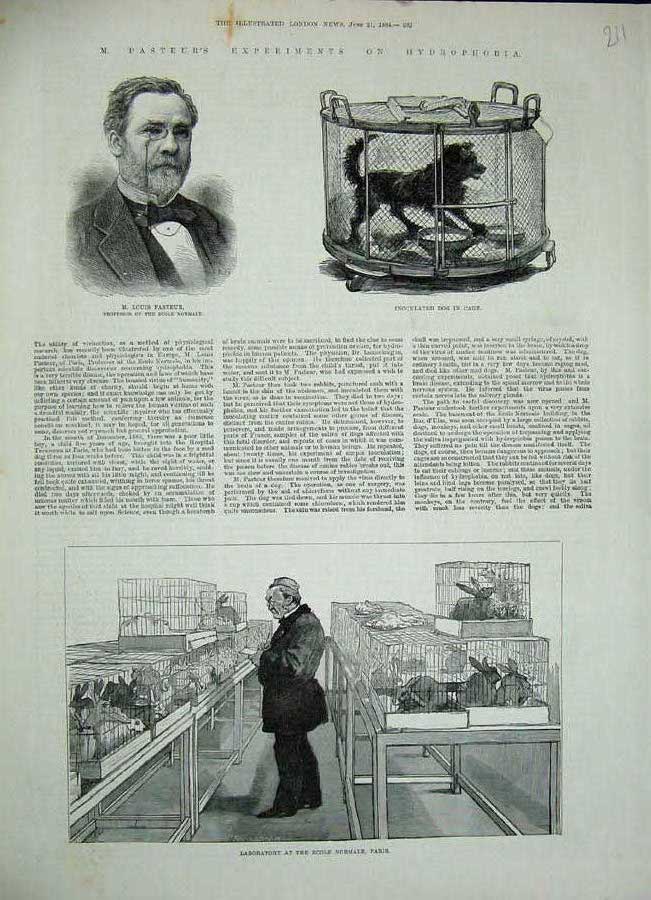 Original Old Antique Print Laboratory Ecole Normale Paris 1884 Pasteur Dog Cage
