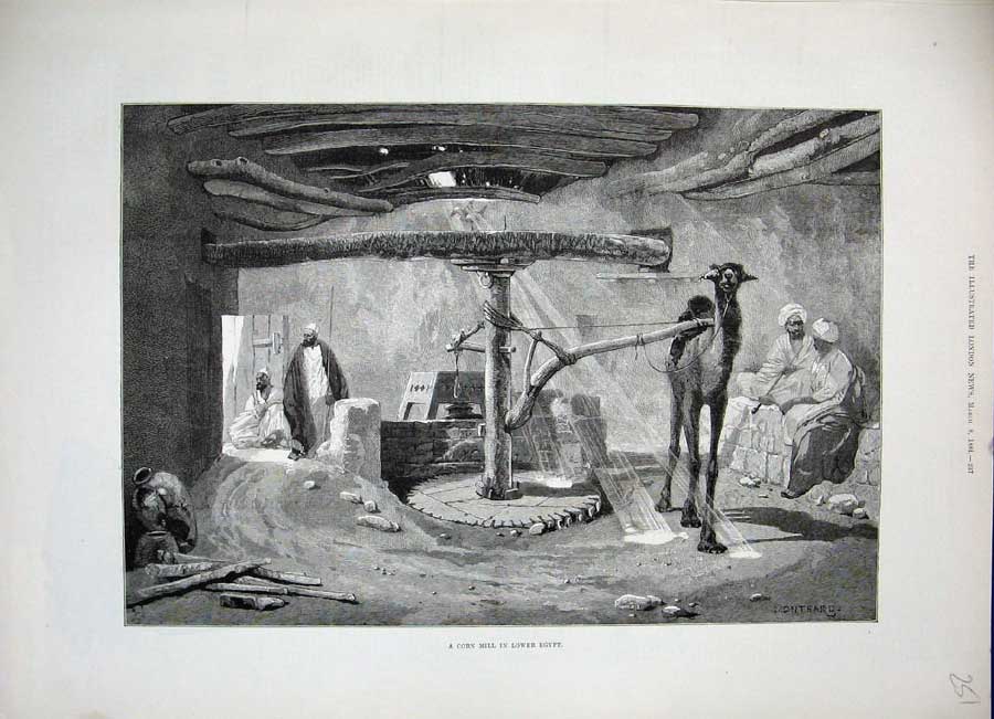 Original Old Antique Print Corn Mill Lower Egypt 1884 Camel Work Men Fine Art