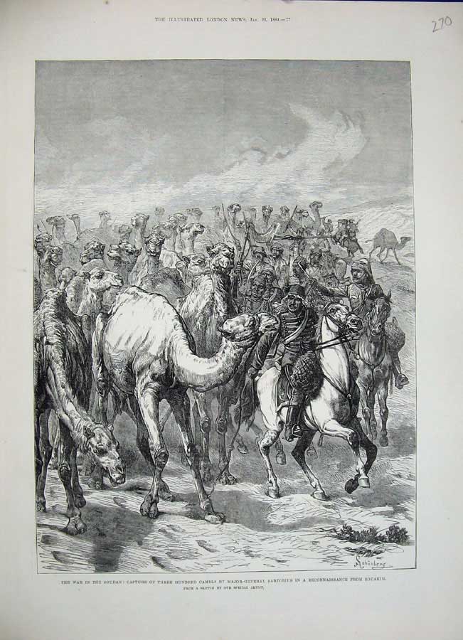 Old Antique Print 1884 War Soudan Camels Major Sartorius Souakim Horses 19th