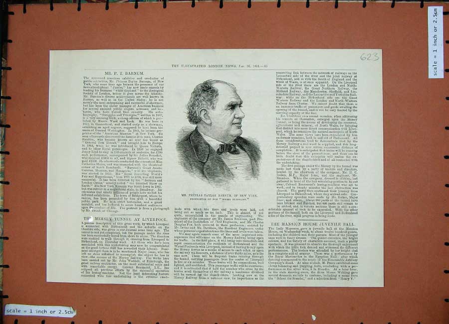Original Old Antique Print 1884 Phineas Taylor Barnum New York White Elephant