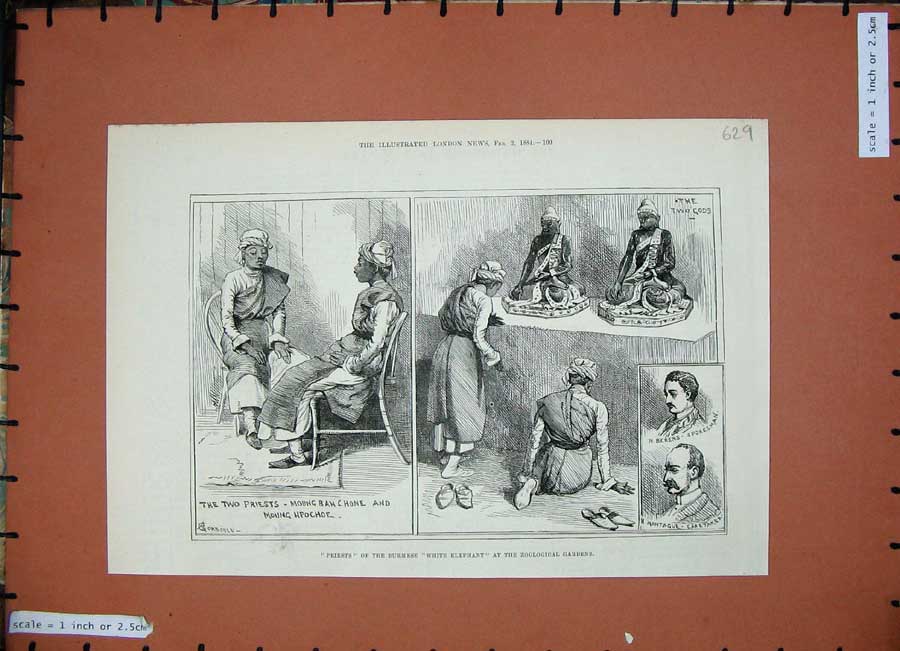 Old Antique Print Priests Burmese 1884 White Elephant Zoological Gardens 19th