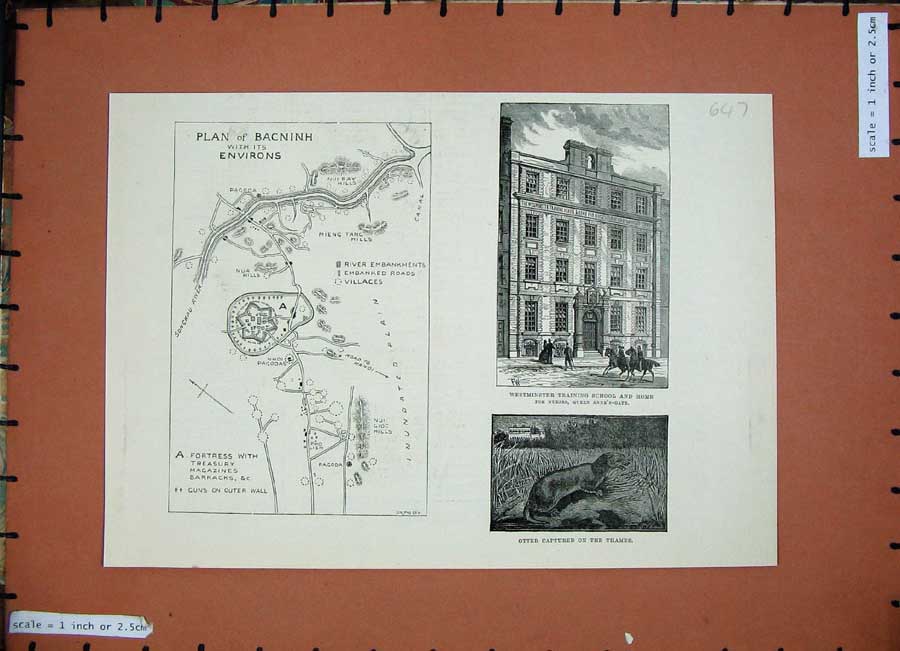 Original Old Antique Print 1884 Plan Bacninh Westminster Training School Otter