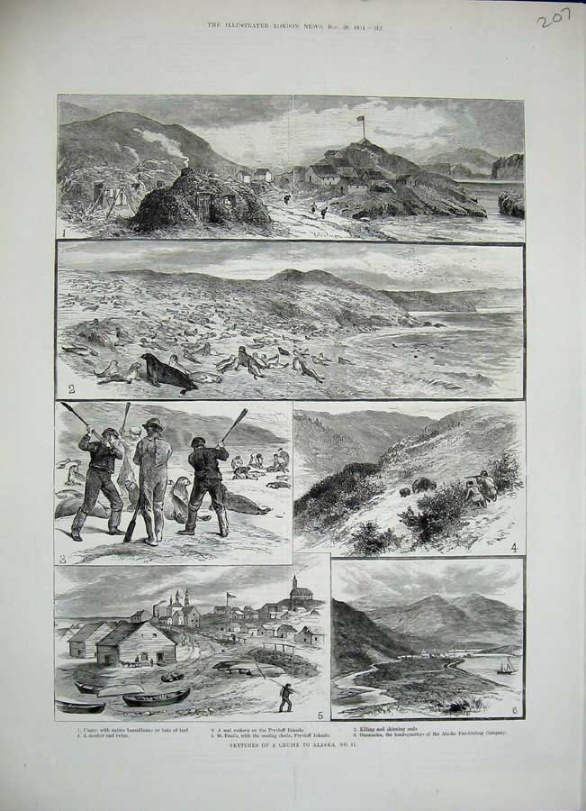 Old Antique Print 1884 Cruise Alaska Barrabboras Pryvloff Seals Hunting 19th