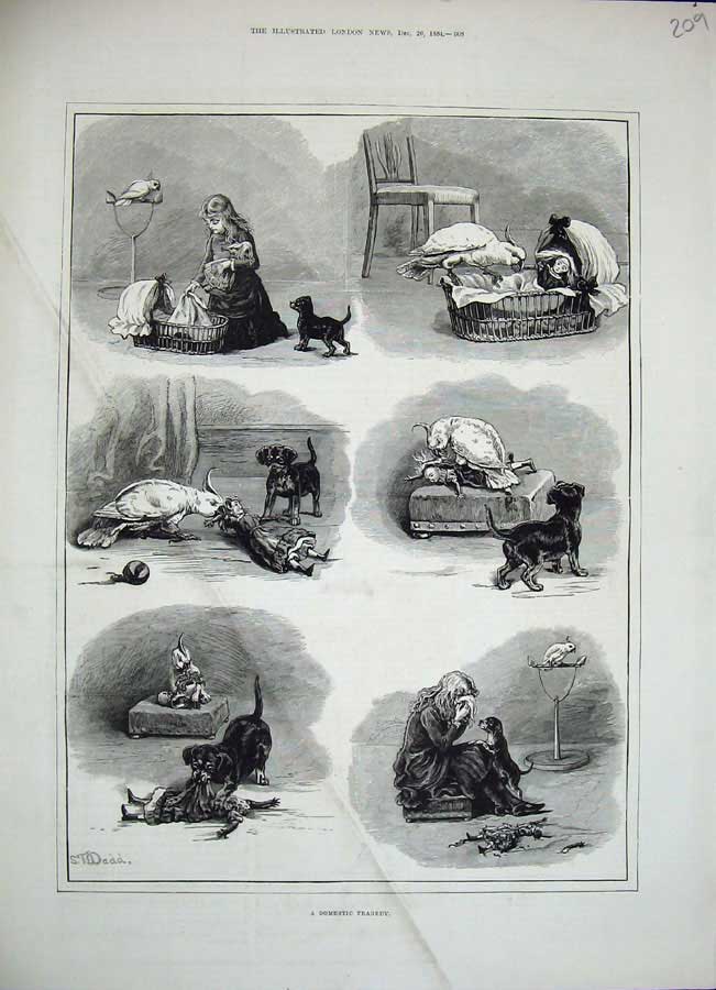 Original Old Antique Print 1884 Dadd Fine Art Little Girl Puppy Dog Bird Doll