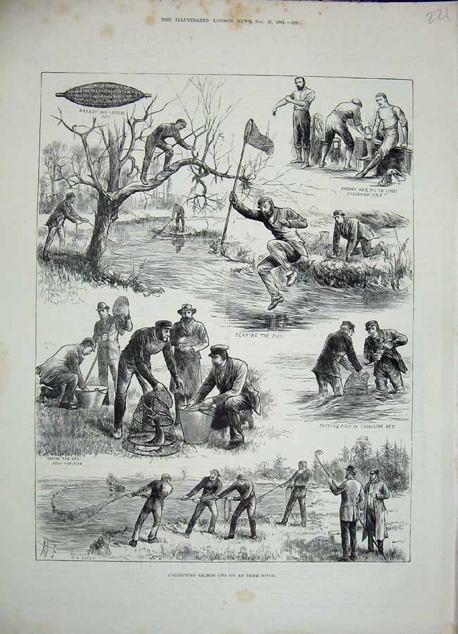 Old Antique Print 1884 Salmon Ova Fishing Ireland Men Nets River Basket 19th