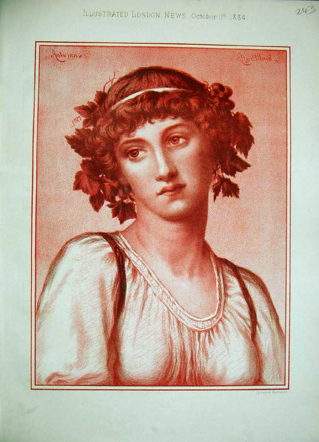 Original Old Antique Print 1884 Portrait Colour Beautiful Woman Lady Art 19th