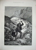Old Antique Print 1884 Killing Vipers Forest Fontainebleau Snake Mountain 19th