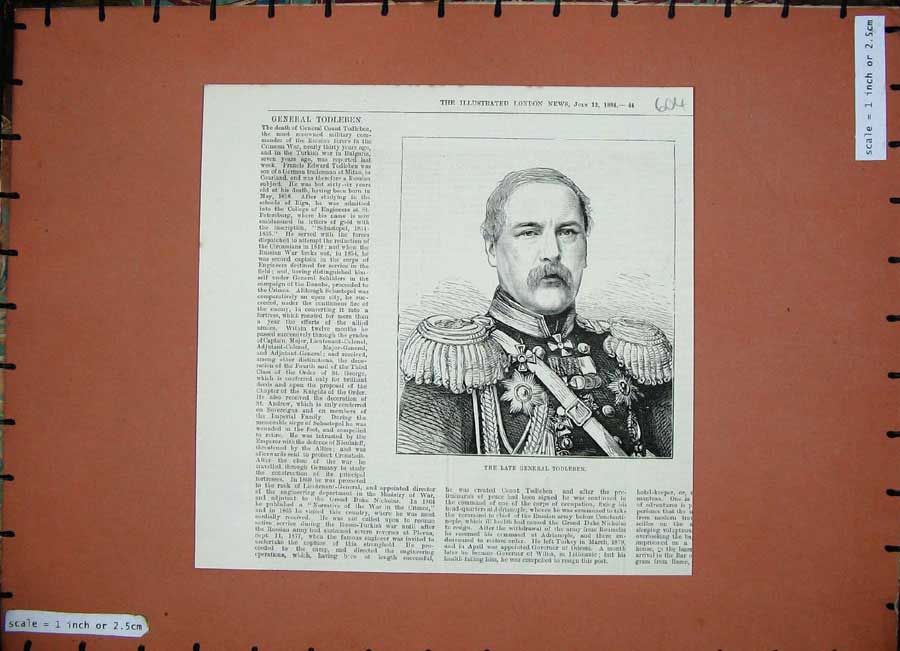 Original Old Antique Print 1884 Portrait General Todleben War Sier Man 19th