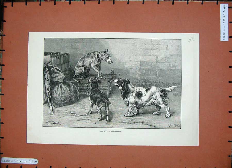 Old Antique Print 1884 Dadd Fine Art Puppy Dogs Cage Guard Animals Pets 19th