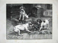 Original Old Antique Print 1885 Dadd Fine Art Puppy Dogs Playing Gloves Animals