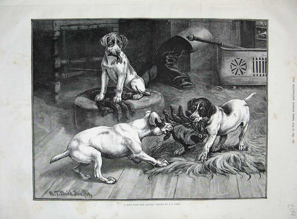 Original Old Antique Print 1885 Dadd Fine Art Puppy Dogs Playing Gloves Animals