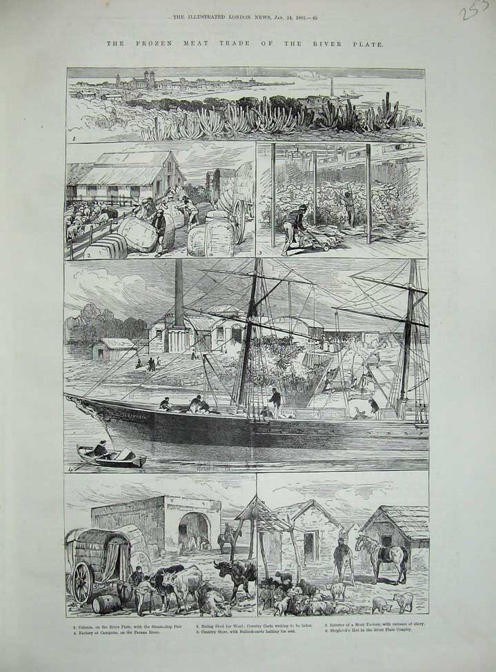 Old Antique Print 1885 Frozen Meat River Plate Parana River Sheep Bullock 19th
