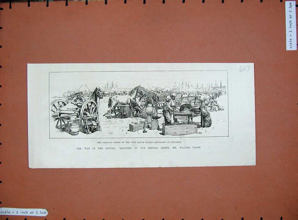 Original Old Antique Print War Soudan 1885 Shoeing Forge New Wales Souakim Army
